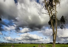 欧联8强出炉:热刺vs法兰克福 流浪者VS毕巴 里昂vs曼联.