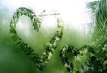 九游体育:时间 2025-03-05点击量:1055.