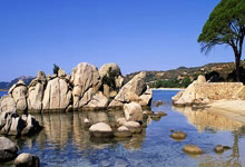 [中超]第19轮：上海海港VS北京国安.